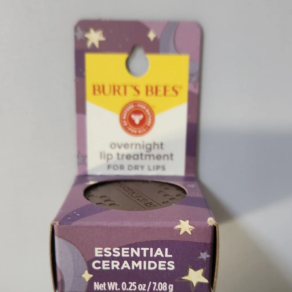 Burt's Bees Overnight Lip Treatment Lip Mask